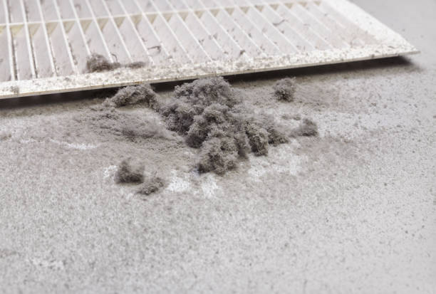 Best Professional Duct Cleaning Services  in Salix, PA